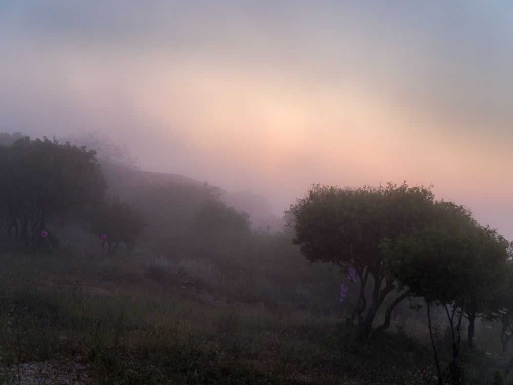 Sonnenaufgang in Galiläa