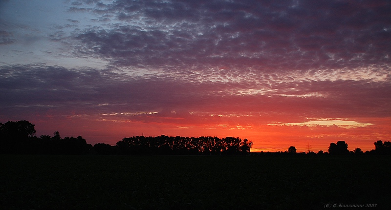 Sonnenaufgang in Groß Munzel / Reg Hannover