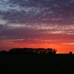 Sonnenaufgang in Groß Munzel / Reg Hannover