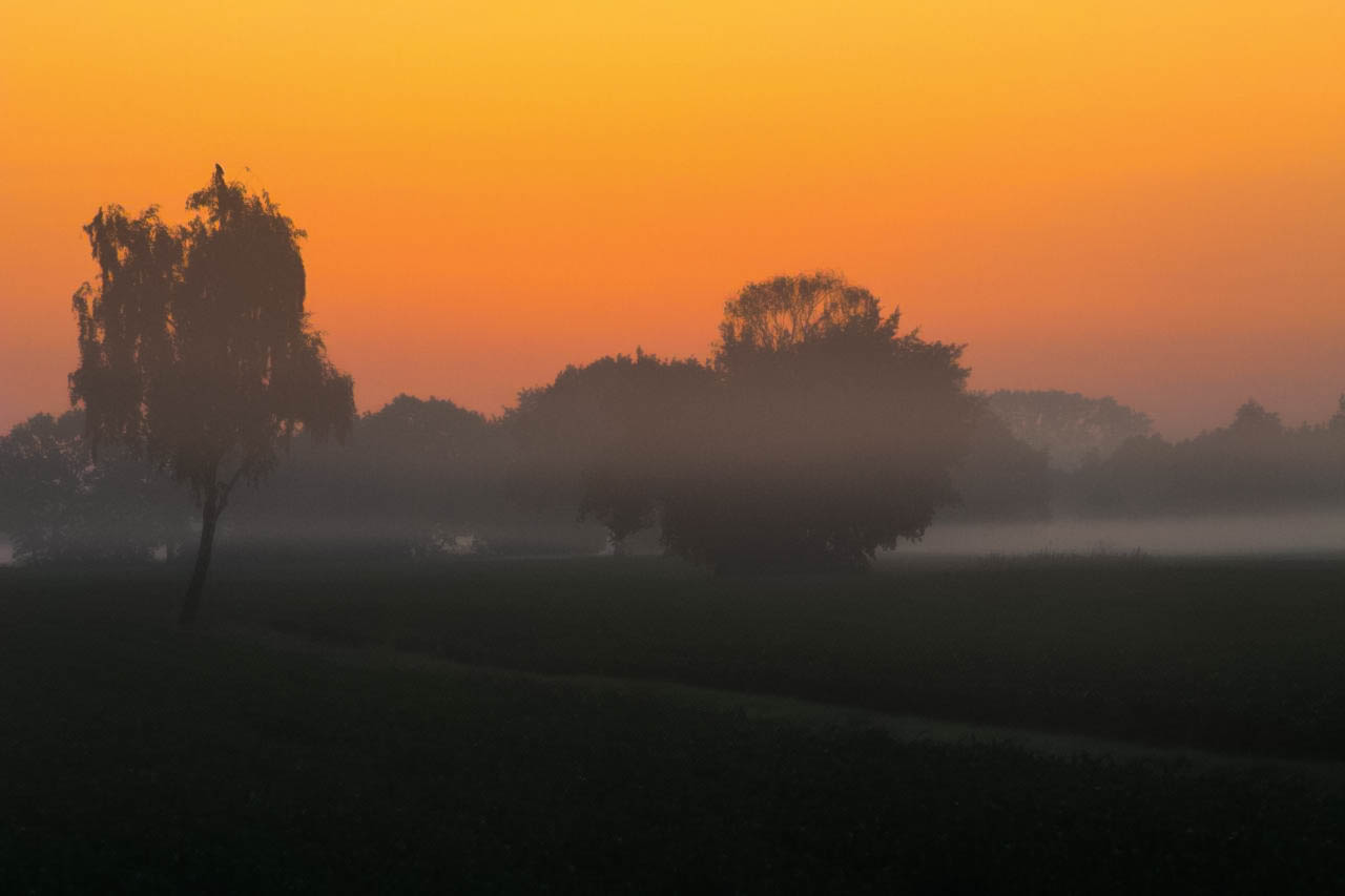 Sonnenaufgang in Hamburg