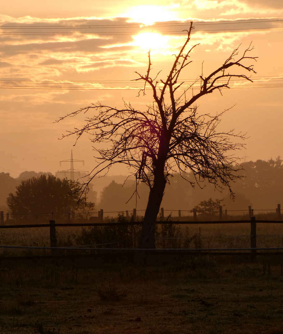 Sonnenaufgang in Hamm-Schmehausen