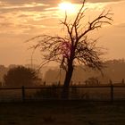 Sonnenaufgang in Hamm-Schmehausen