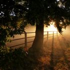 Sonnenaufgang in Hamm-Schmehausen