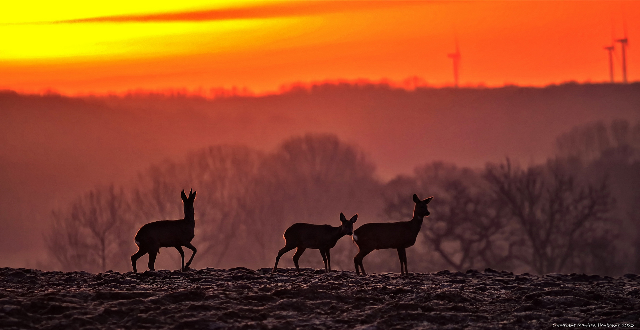 Sonnenaufgang in Hanrorup 