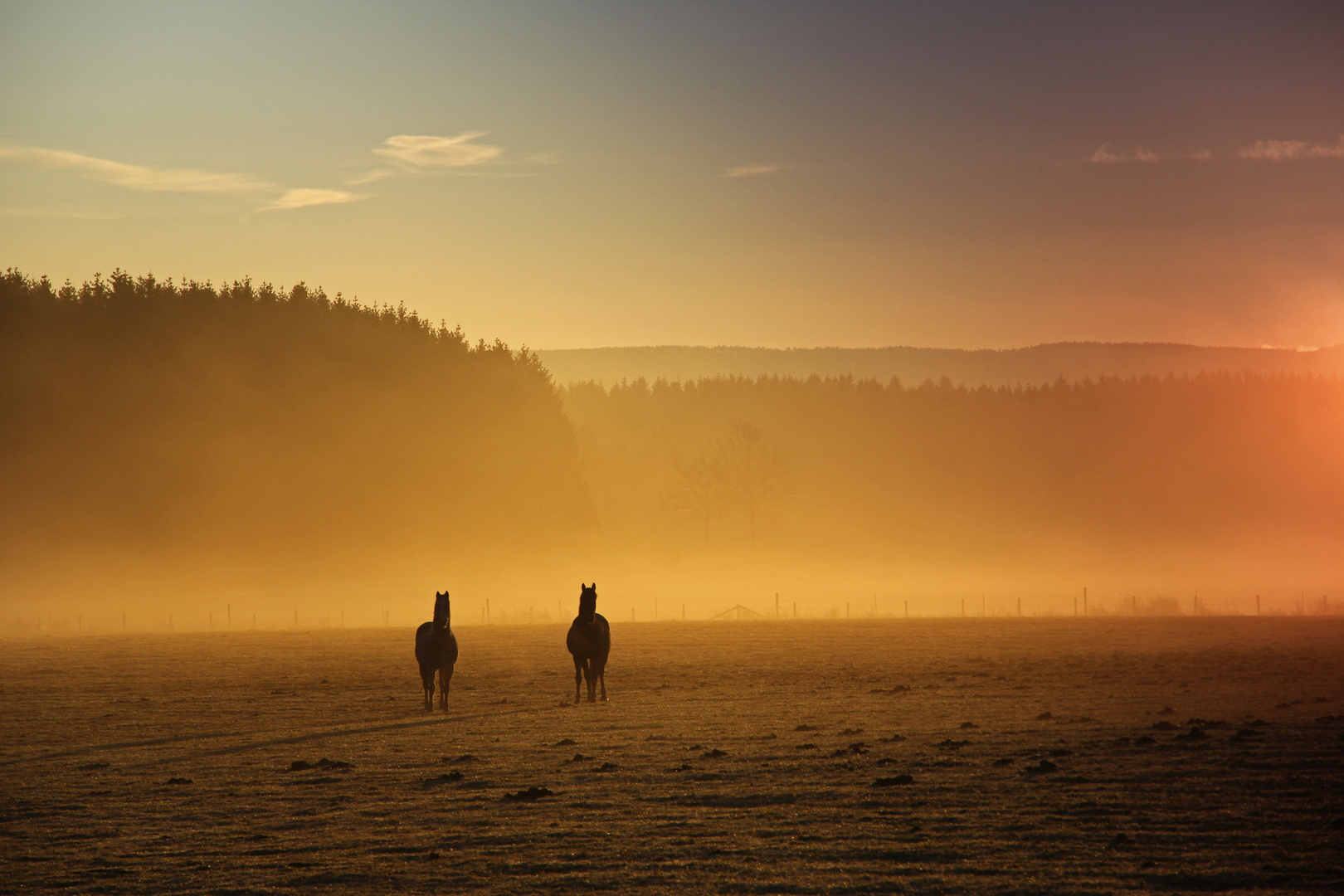 Sonnenaufgang in Hellenthal