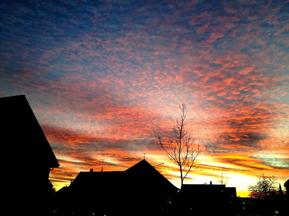 Sonnenaufgang in Hiddenhausen