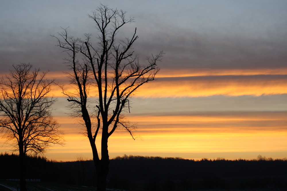 Sonnenaufgang in Hohen-Schönberg bei Boltenhagen