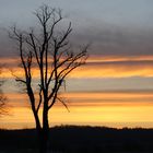 Sonnenaufgang in Hohen-Schönberg bei Boltenhagen