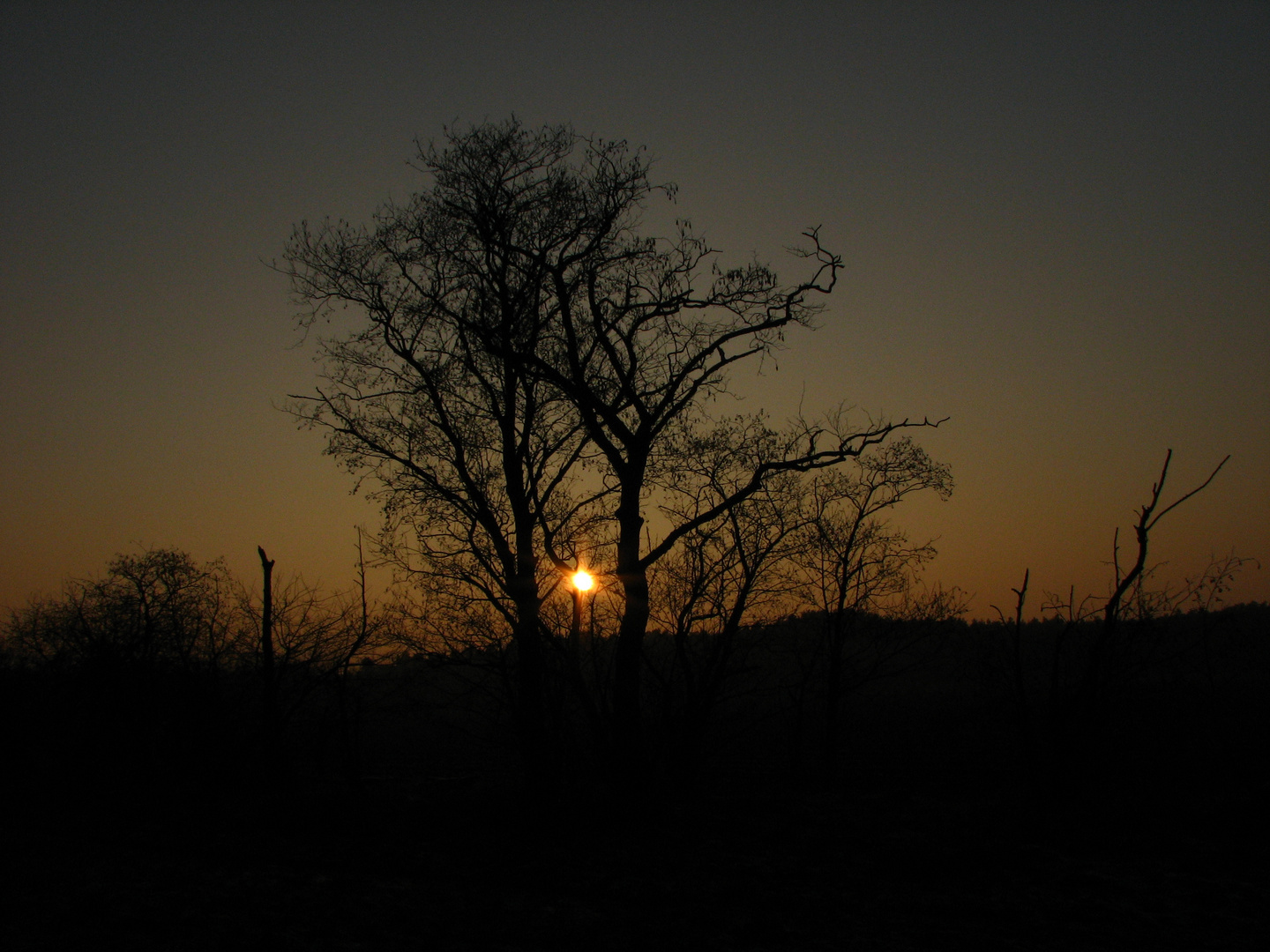 Sonnenaufgang in Hohne