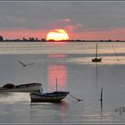 Sonnenaufgang in Houmt Souk (Djerba)