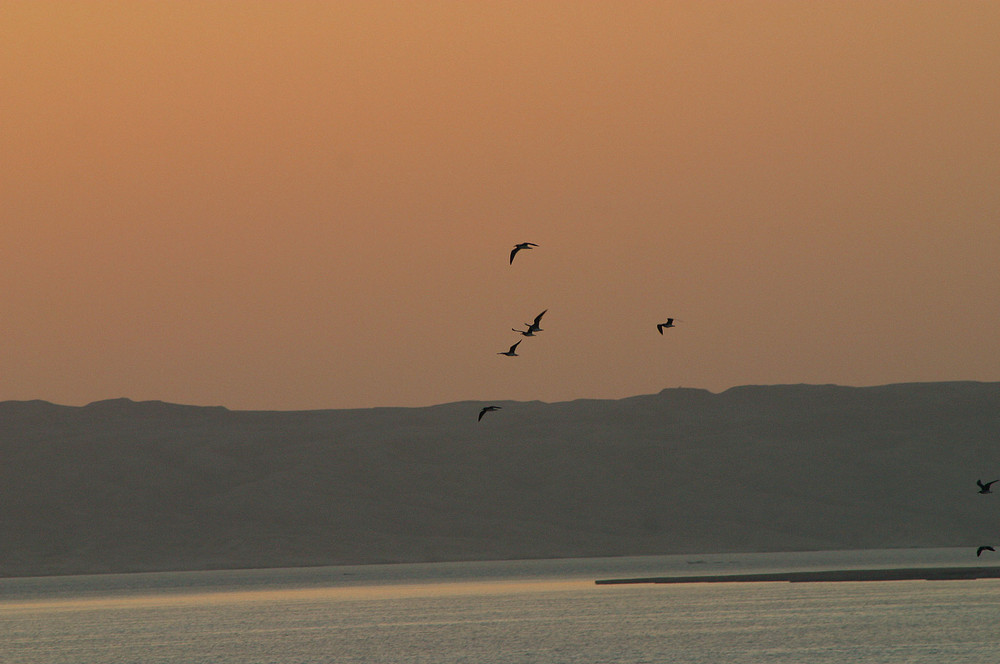 Sonnenaufgang in Hurghada 4