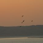 Sonnenaufgang in Hurghada 4