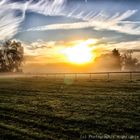 Sonnenaufgang in Iffezheim