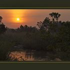 Sonnenaufgang in Inyati