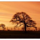 Sonnenaufgang in Irland