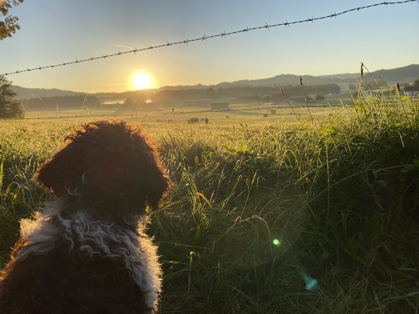 Sonnenaufgang in Isny