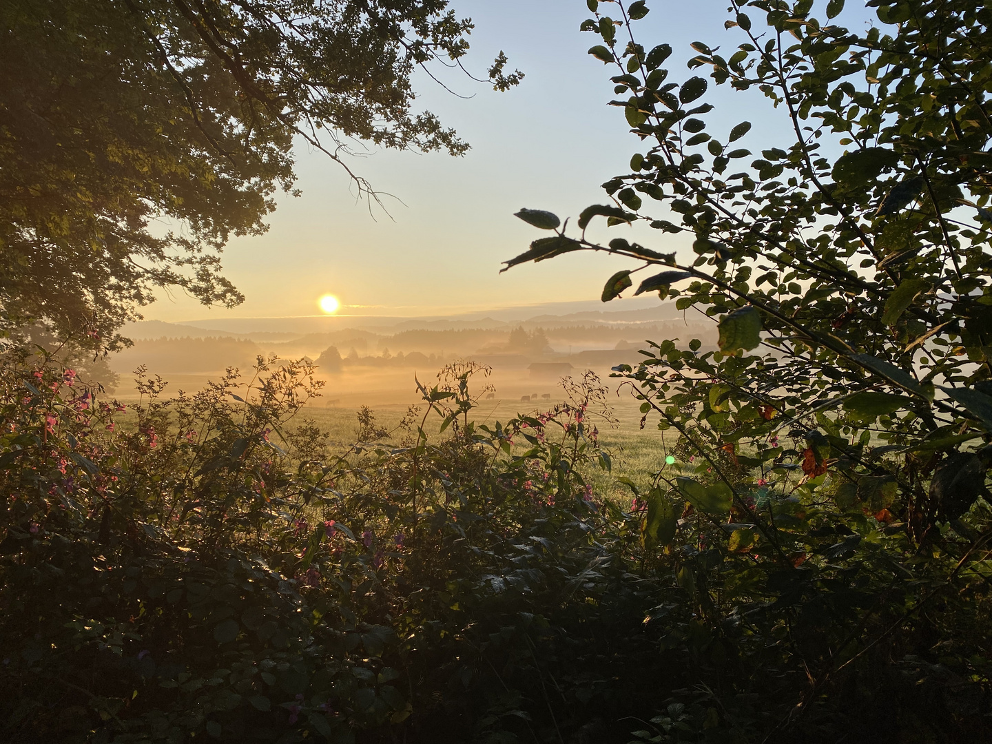 Sonnenaufgang in Isny