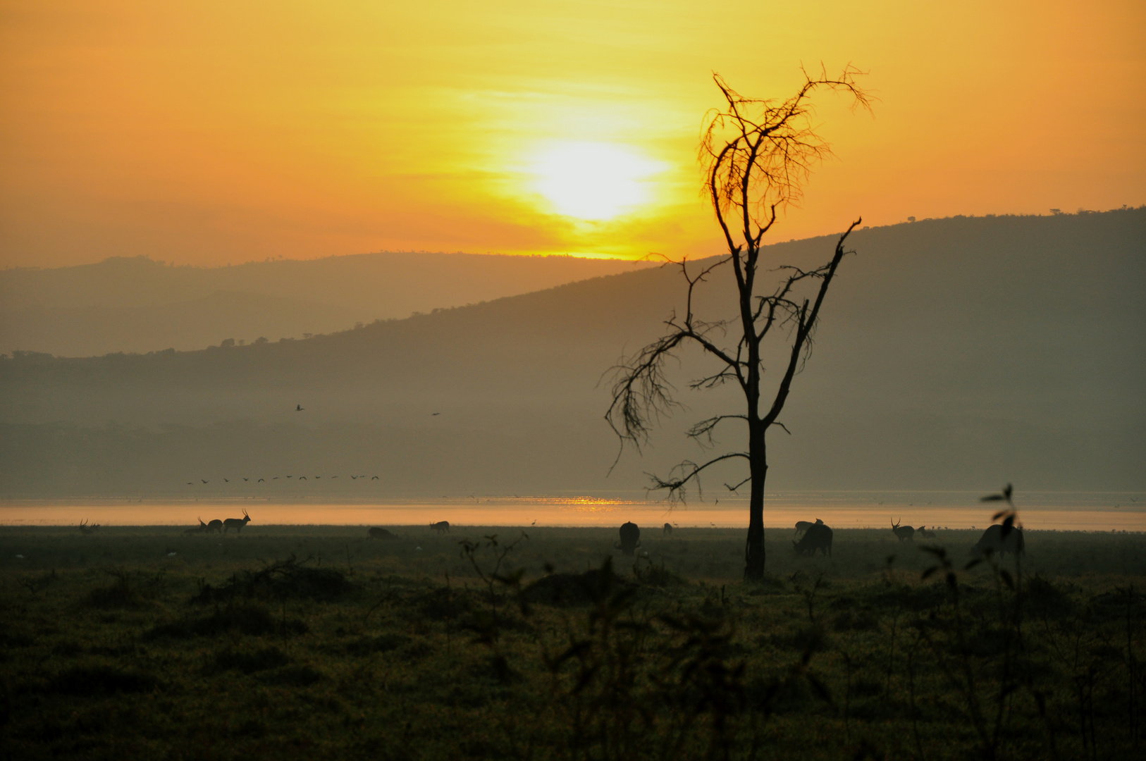 Sonnenaufgang in Kenia