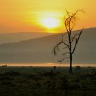 Sonnenaufgang in Kenia