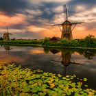 Sonnenaufgang in Kinderdijk