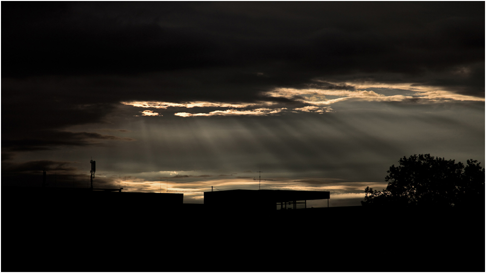 Sonnenaufgang in Köln