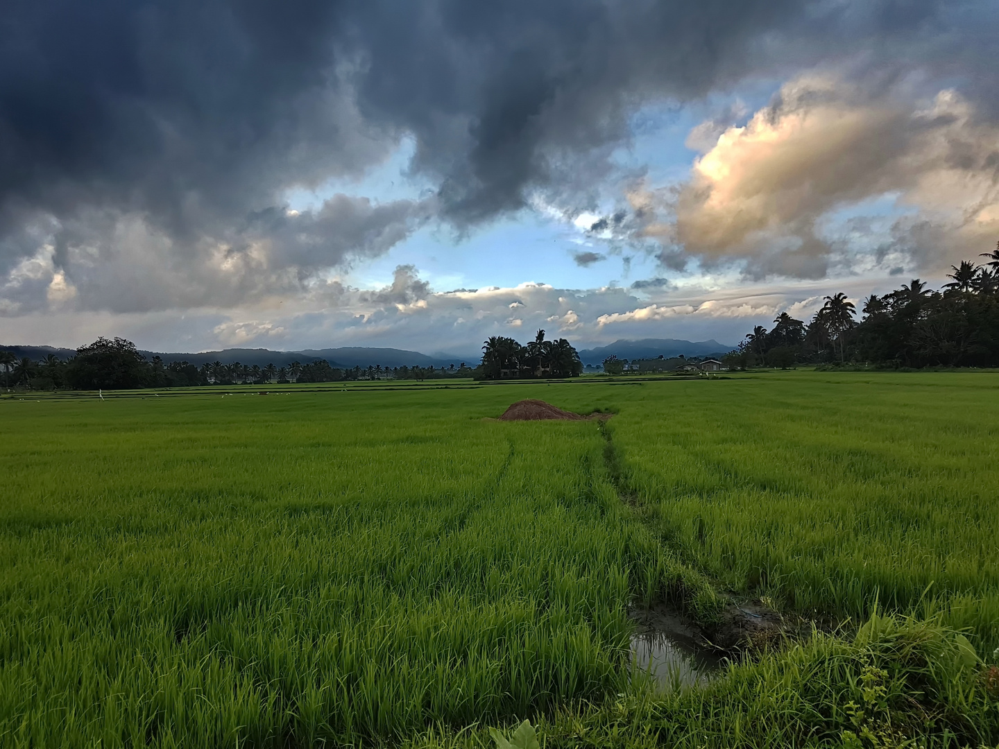 Sonnenaufgang in Lagoingbanwa