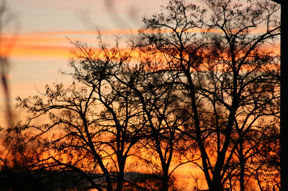 Sonnenaufgang in Ludwigshafen