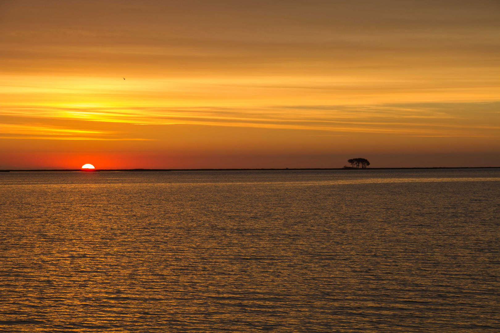 Sonnenaufgang in Maasholm