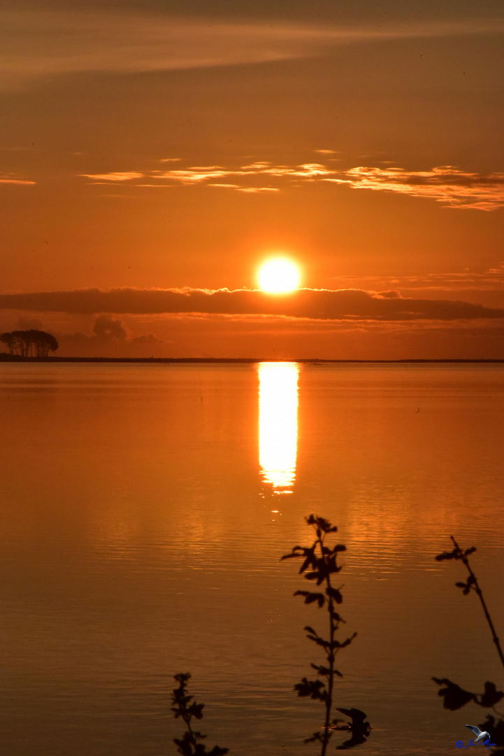 Sonnenaufgang in Maasholm/Schleimünde