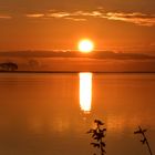 Sonnenaufgang in Maasholm/Schleimünde