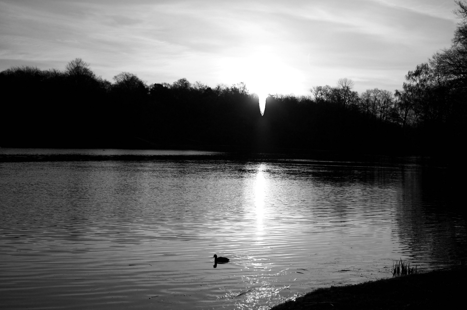 Sonnenaufgang in Machern