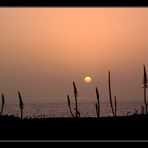 Sonnenaufgang in Mala, Lanzarote