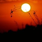 Sonnenaufgang in Masuren