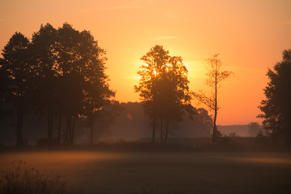 Sonnenaufgang in Masuren