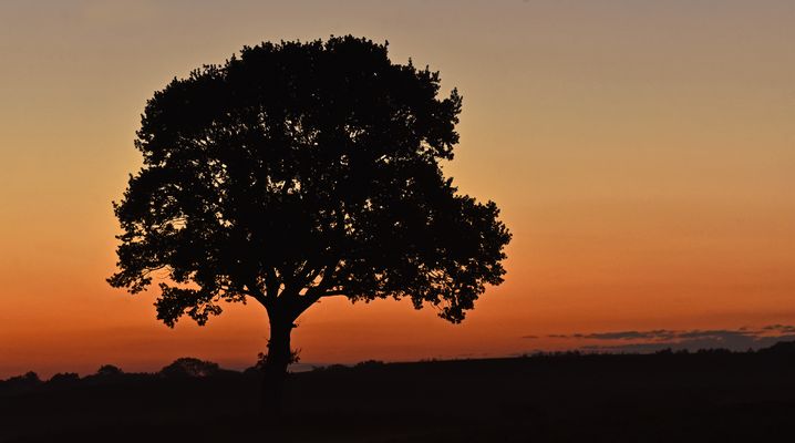  Sonnenaufgang in Meckelenburg-Vorpommern....