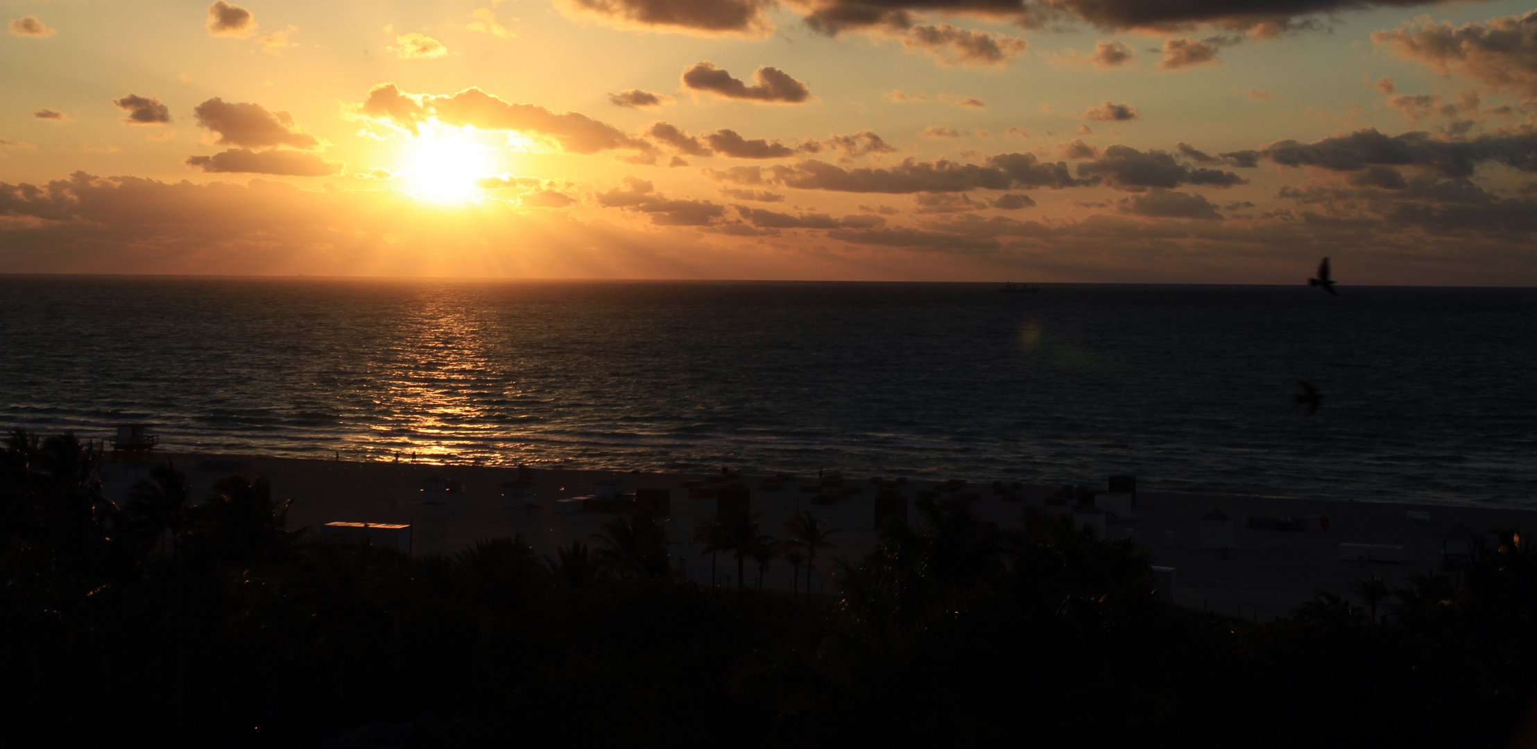 Sonnenaufgang in Miami Beach