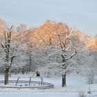 Sonnenaufgang in Mölnlycke/Göteborg Dezember 2010