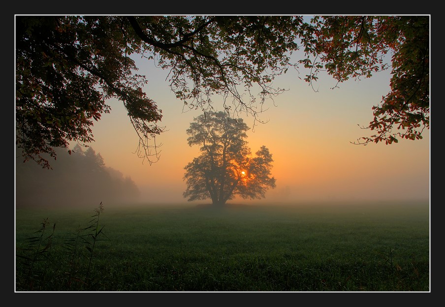 Sonnenaufgang in Mönchbruch