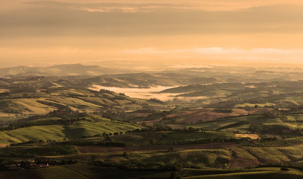 Sonnenaufgang in Montalcino