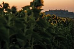 Sonnenaufgang in Monteriggione