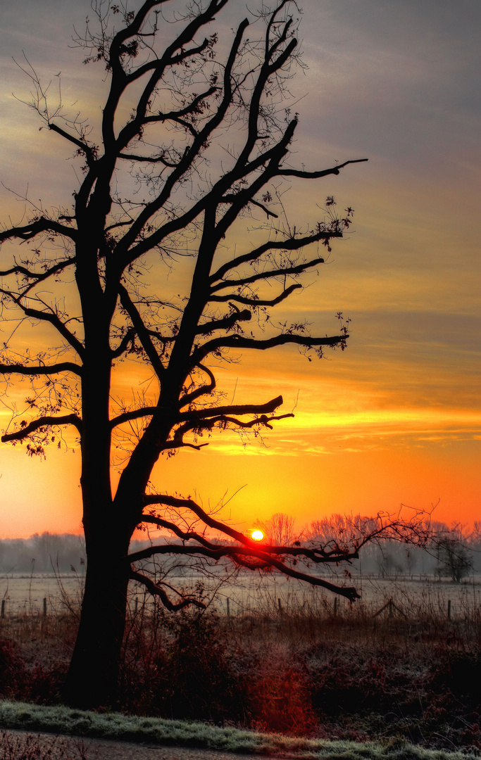 Sonnenaufgang in Mülheim Saarn