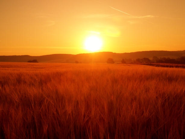 ...Sonnenaufgang in Münnerstadt...