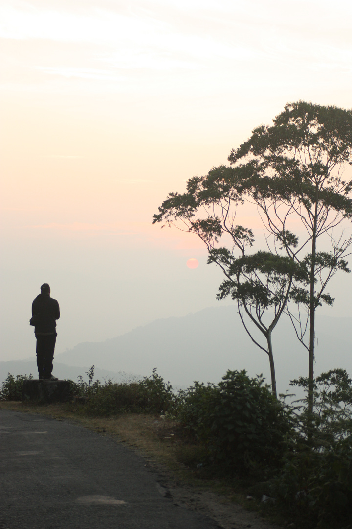 Sonnenaufgang in Munnar, Indien