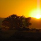 Sonnenaufgang in Namibia !