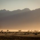 Sonnenaufgang in Namibia Sossusvlei