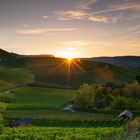 Sonnenaufgang in Neckarsulm