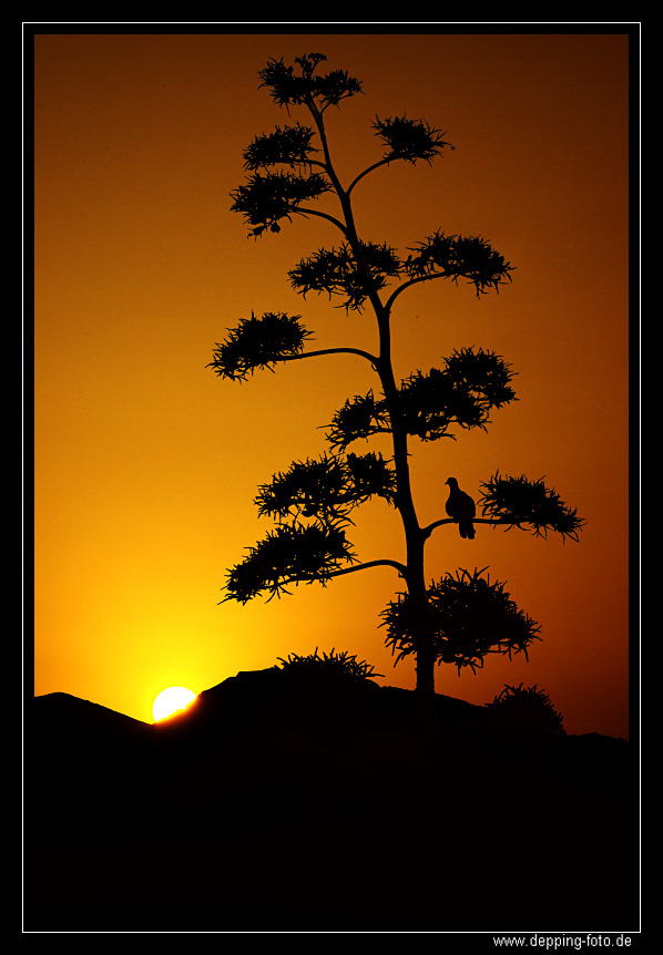 Sonnenaufgang in Nerja....