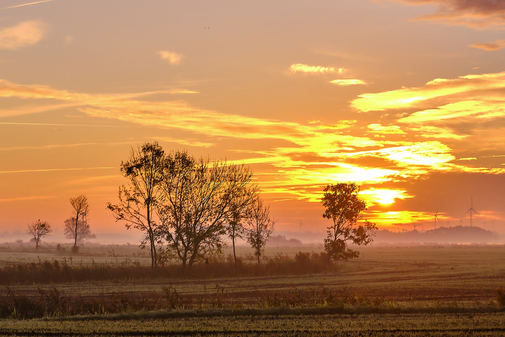 Sonnenaufgang in Neßmersiel