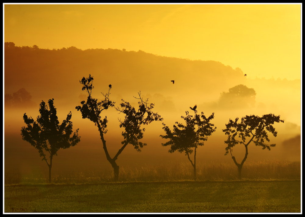 Sonnenaufgang in Neuhof bei Hildesheim