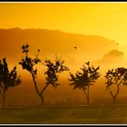 Sonnenaufgang in Neuhof bei Hildesheim